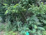 130 May Street - Photo 3