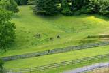 316 Stevenson Cove Road - Photo 8