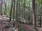 49 Trillium Trail - Photo 7