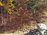 TBD Top Oaks Lane - Photo 10