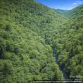 0000 Rainbow Trout Drive - Photo 6