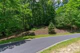 lot 53R Mills River Way - Photo 1