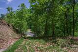 lot 53R Mills River Way - Photo 2