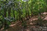 lot 53R Mills River Way - Photo 3