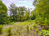 120 Ben Lippen School Road - Photo 5