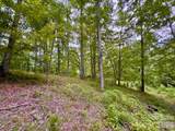 120 Ben Lippen School Road - Photo 6