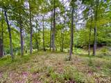 120 Ben Lippen School Road - Photo 7