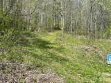 99999 Martins Creek Road - Photo 5