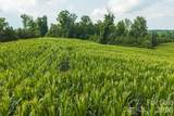 TBD Sandbar Road - Photo 14