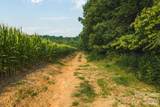 TBD Sandbar Road - Photo 18