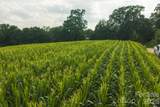 TBD Sandbar Road - Photo 4