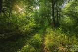 TBD Sandbar Road - Photo 41