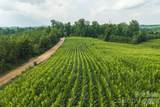 TBD Sandbar Road - Photo 7