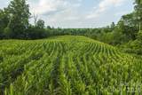 TBD Sandbar Road - Photo 9