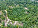 6 Dobsons Knob Loop - Photo 13