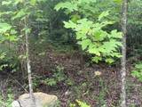 6 Dobsons Knob Loop - Photo 3