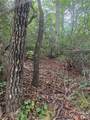 6 Dobsons Knob Loop - Photo 4