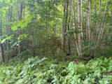 64A Jonathan Trail - Photo 4