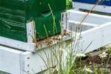 99999 Garden Trail - Photo 13