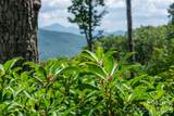 99999 Garden Trail - Photo 14