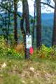 99999 Garden Trail - Photo 4