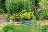 99999 Garden Trail - Photo 32