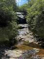999 Fox Ridge Trail - Photo 11