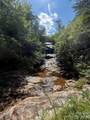 999 Fox Ridge Trail - Photo 9