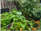 4538 Diamond Street - Photo 10