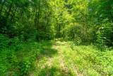TBD Indian Flats Drive - Photo 1