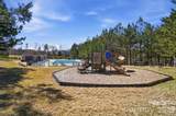 9202 Perseverance Drive - Photo 36