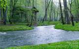 LOT V1 Mystic River Village Way - Photo 15