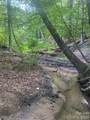 - Red Yam Farm Road - Photo 6