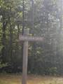 TBD Lot #30 Ashe View Drive - Photo 4