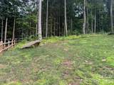 000 Twinbrook Lane - Photo 5