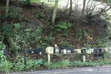 PLT 3 Scenic View Drive - Photo 3