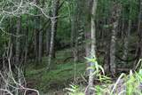 PLT 3 Scenic View Drive - Photo 8