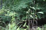 PLT 3 Scenic View Drive - Photo 9