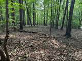 00 Wilderness Ridge - Photo 9