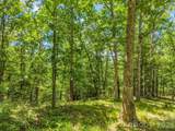 3670 French Broad Parkway - Photo 7