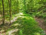 3670 French Broad Parkway - Photo 9