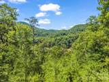 3670 French Broad Parkway - Photo 10
