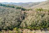 99999 Mills River Way - Photo 2