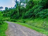 42 High Rock View Drive - Photo 6