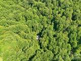 222 Morgan Cove Road - Photo 48