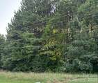 Lot 1 Mathis Church Road - Photo 1