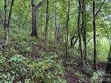 TBD Meadow Fork Road - Photo 1