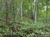 TBD Meadow Fork Road - Photo 2