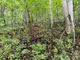 TBD Meadow Fork Road - Photo 13