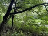 TBD Meadow Fork Road - Photo 3